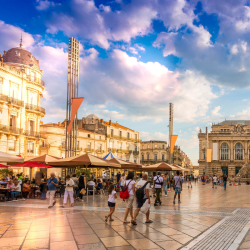 Montpellier - Montpellier